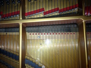 SPSSteinwayStringSpace2