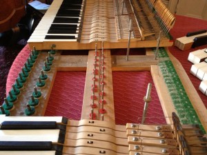 SPSBluthnerKeyFrame1