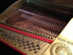 the brighter strings have 3-4 added twists