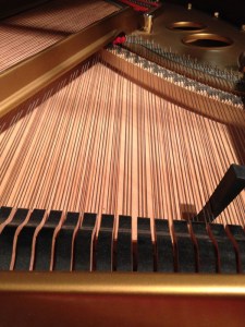 Steinway Duplex