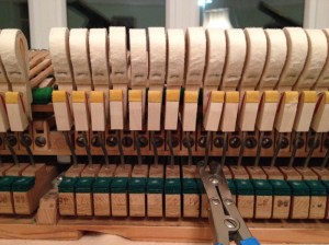 Aligning Check to Hammers