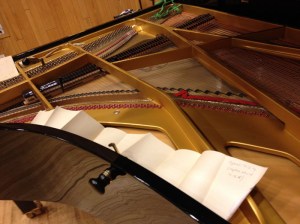 Moth Repellent Strip